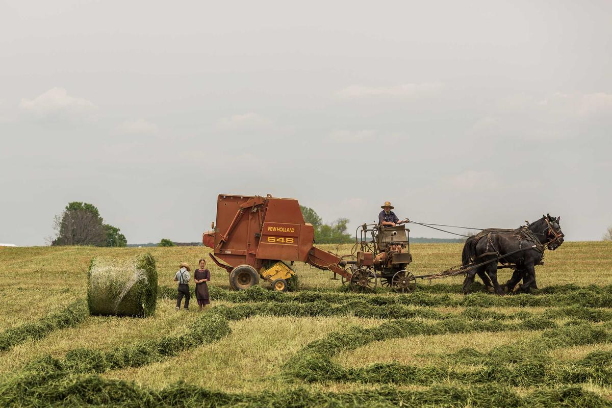 Spectateurs profitant d'un festival en plein air en Bretagne